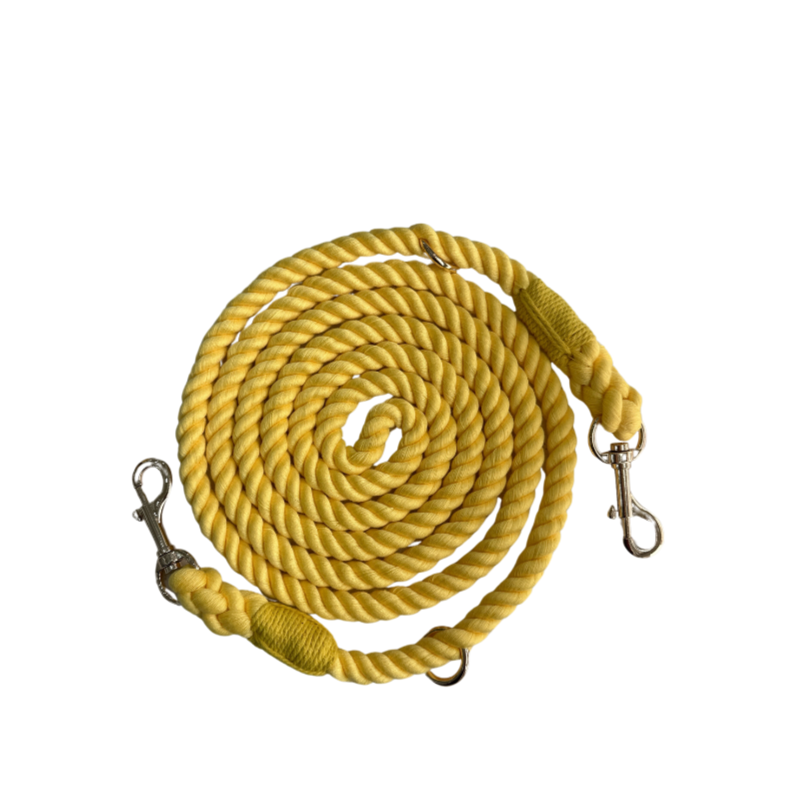 Hands Free Leash - Lemon Drop