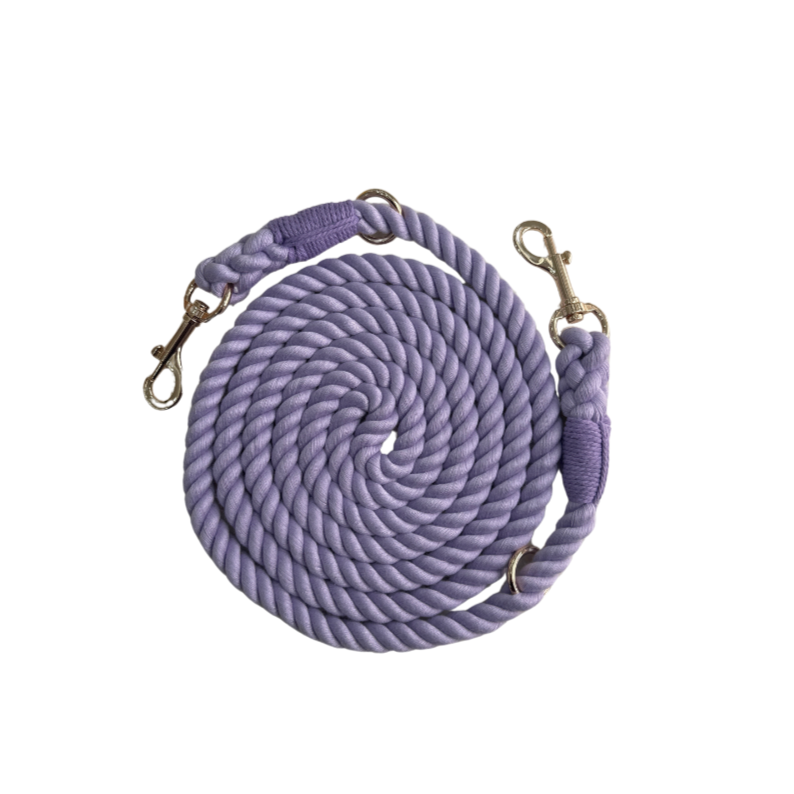 Hands Free Leash - Lavander