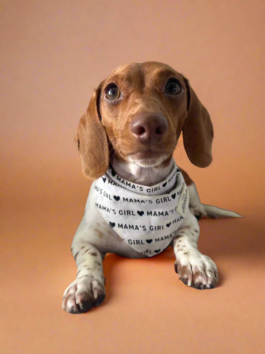Mama's Girl - Bandana