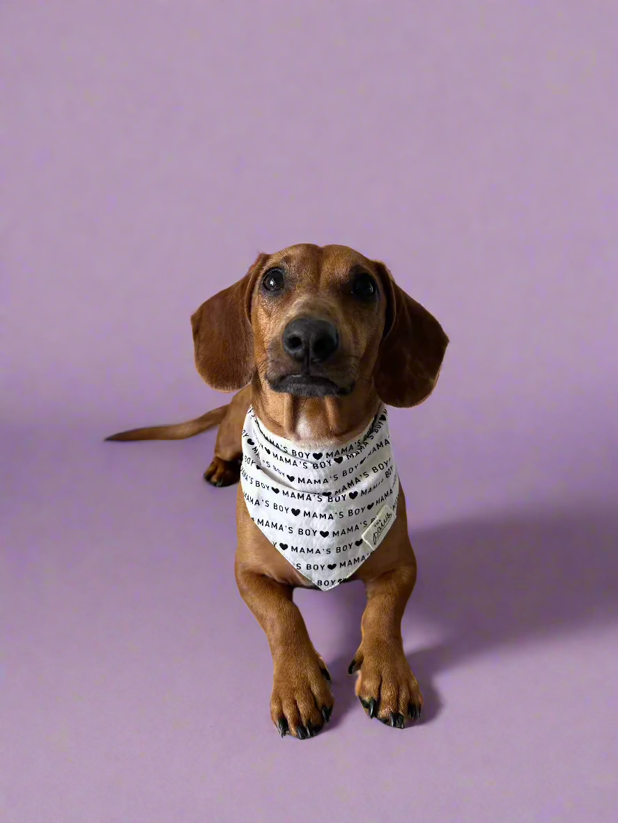 Mama's Boy - Bandana