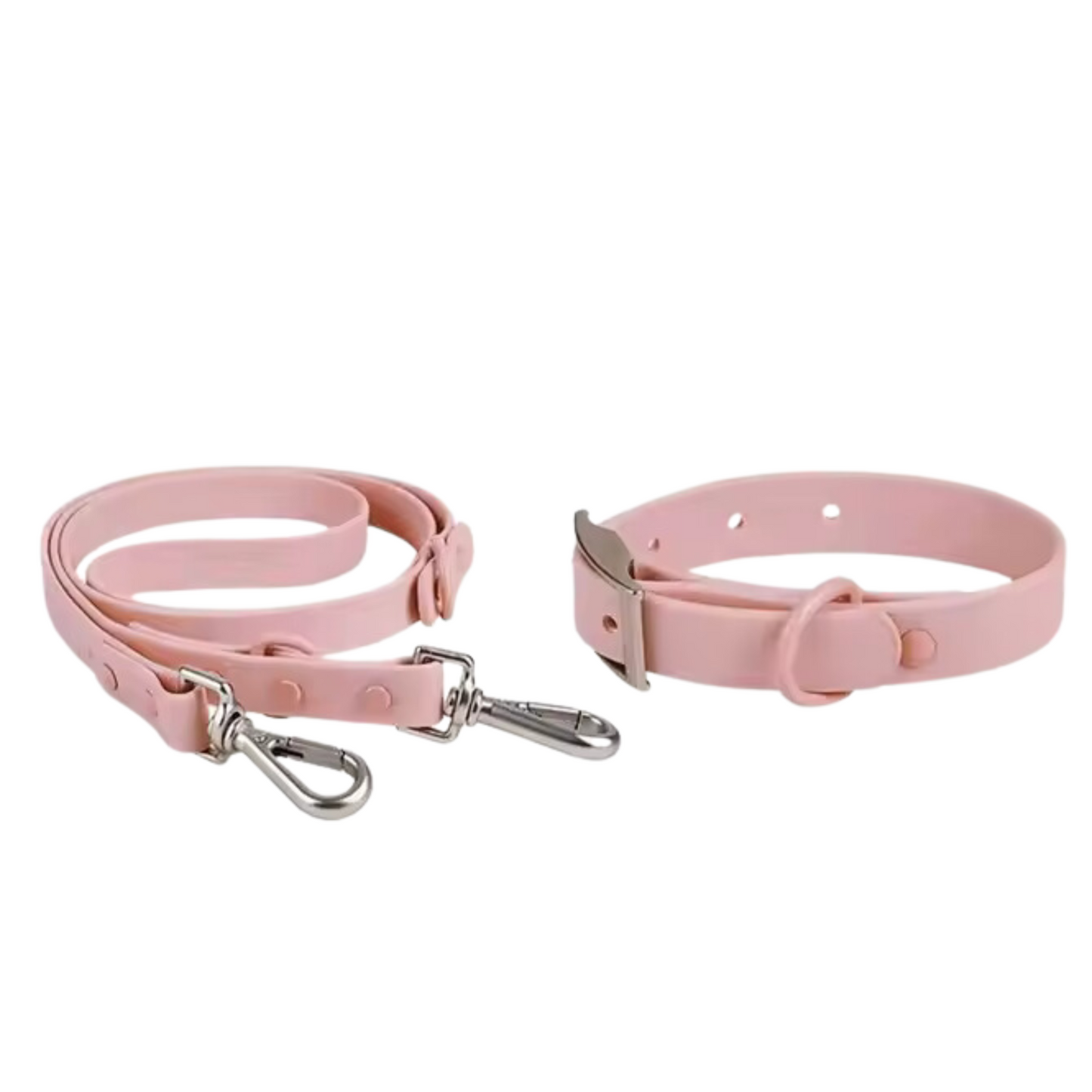 Bundle Leash and Collar- 'Tis the Season