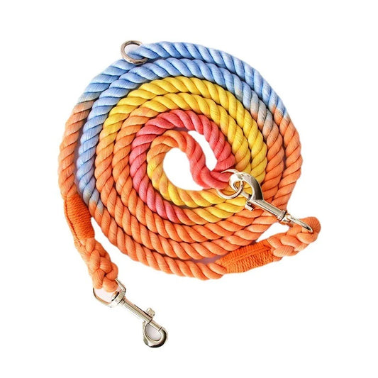 Hands Free Leash - Rainbow