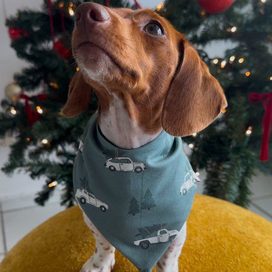 Christmas Truck Dog Bandana