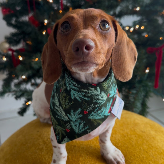 Christmas Tree Dog Bandana