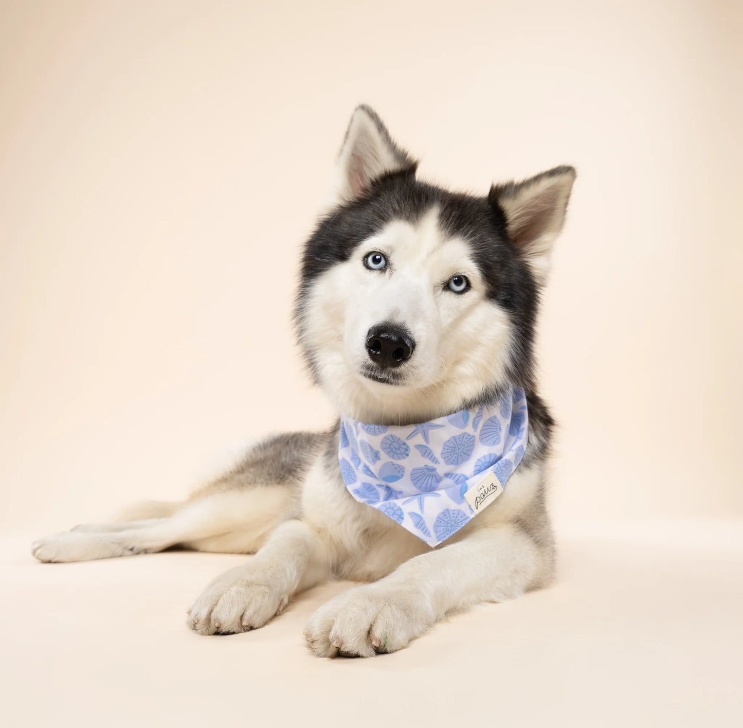 Ocean Beach Bandana